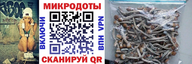 Галлюциногенные грибы Psilocybine cubensis  как найти закладки  Тогучин 